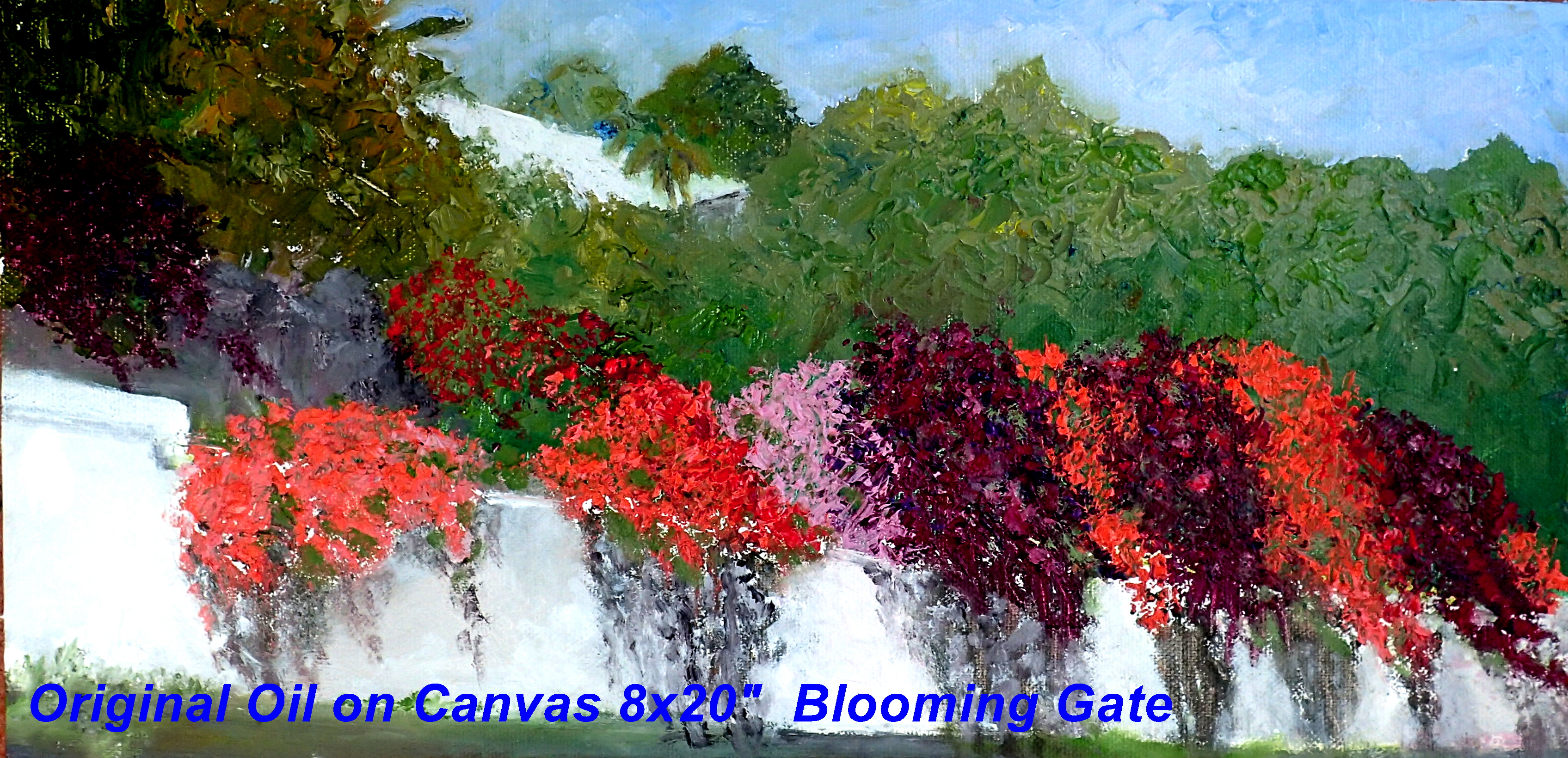 Original Oil on birch backed Canvas.   This painting highlights the splendor of the tropical colourful bougainvillea shrub that falls over the wall in the gated community of Sunrise Bay in Marsh Harbo